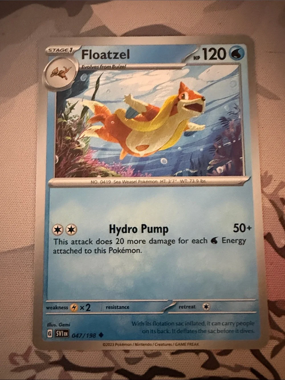 Buizel & Floatzel Evolution Lot | 5 Pokémon Cards | ✨5/$25✨